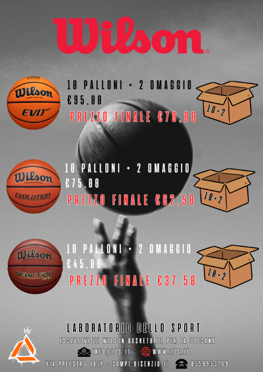 PALLONI BASKET WILSON