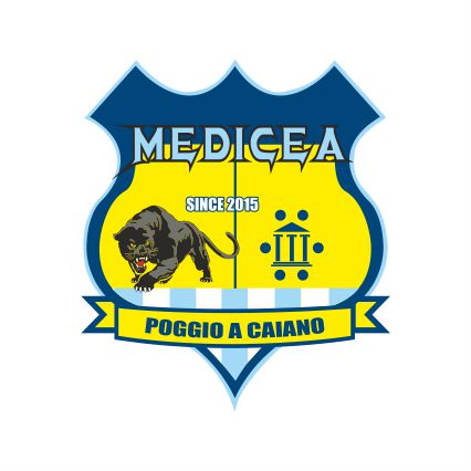 A.S.D. MEDICEA HANDBALL